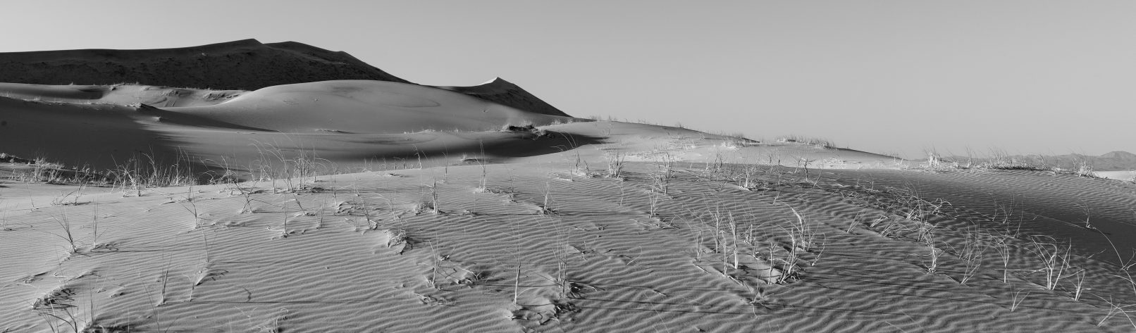Sand dune at Mojave Desert, California