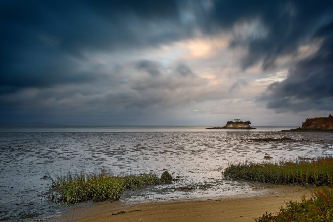 Rat Rock Island, San Pablo Bay, California