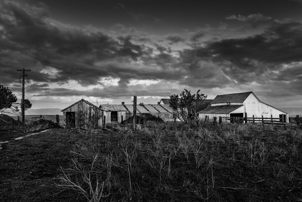 D-Ranch, Point Reyes, California