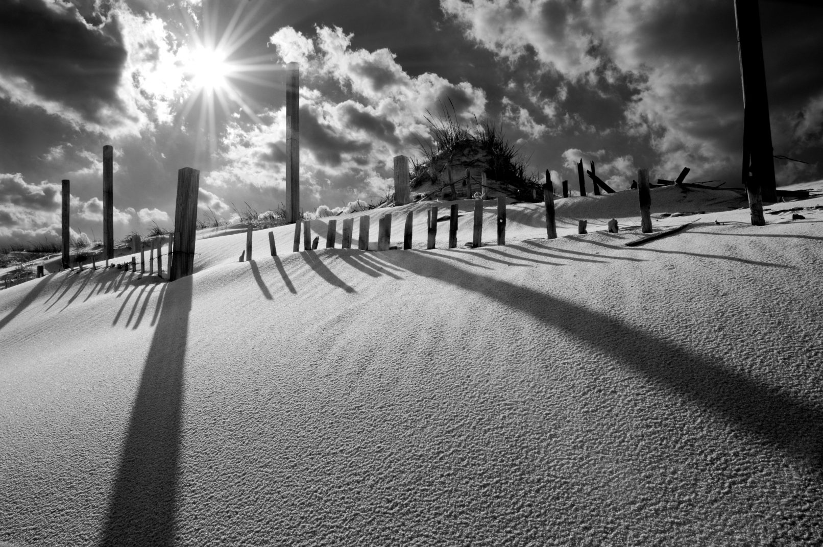 New Jersey Beach with sand, sun, and sticks