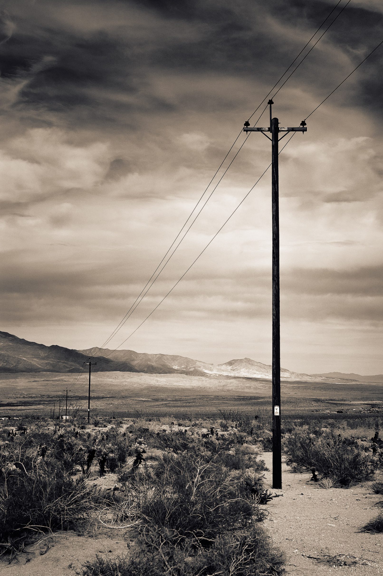Telephone poles in Anza-Borrego Desert
