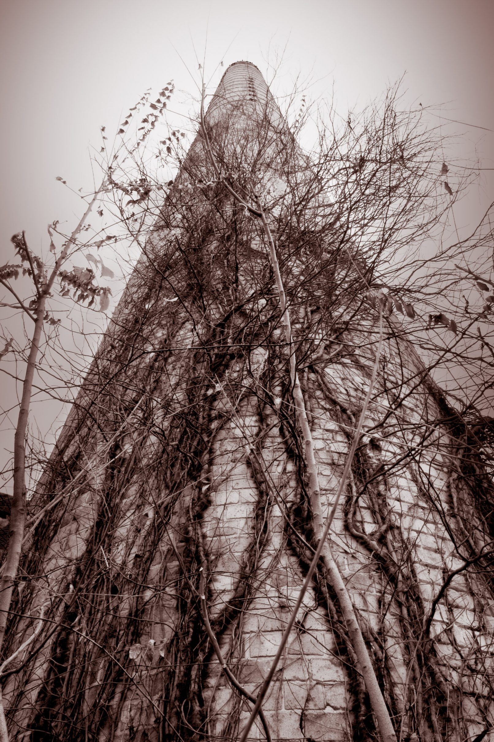 Old factory chimney with vines and trees
