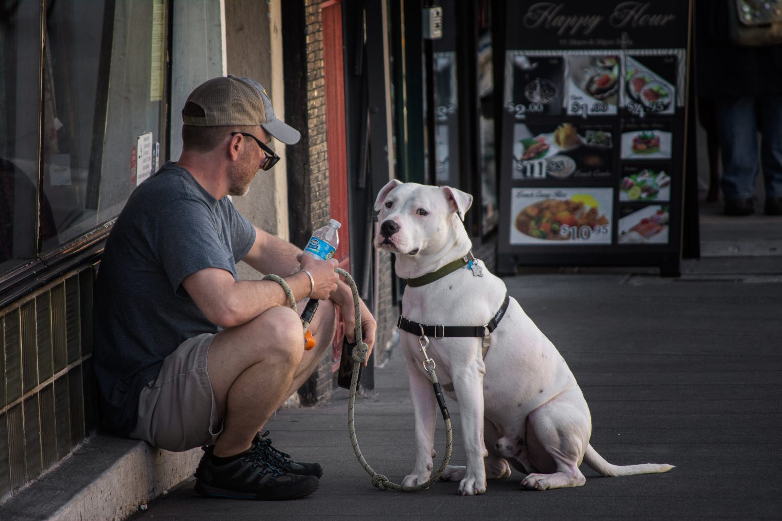 Man and his dog on Castro Street, San Francisco