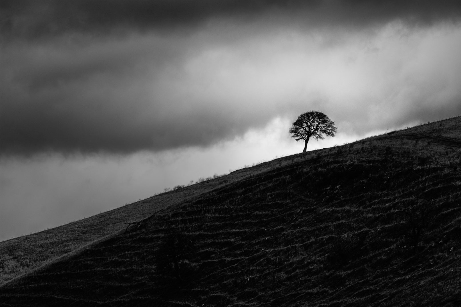 tree silhouette on hill against dark clouds