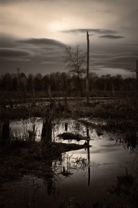 Sun glowing through dark clouds over Trenton Marsh