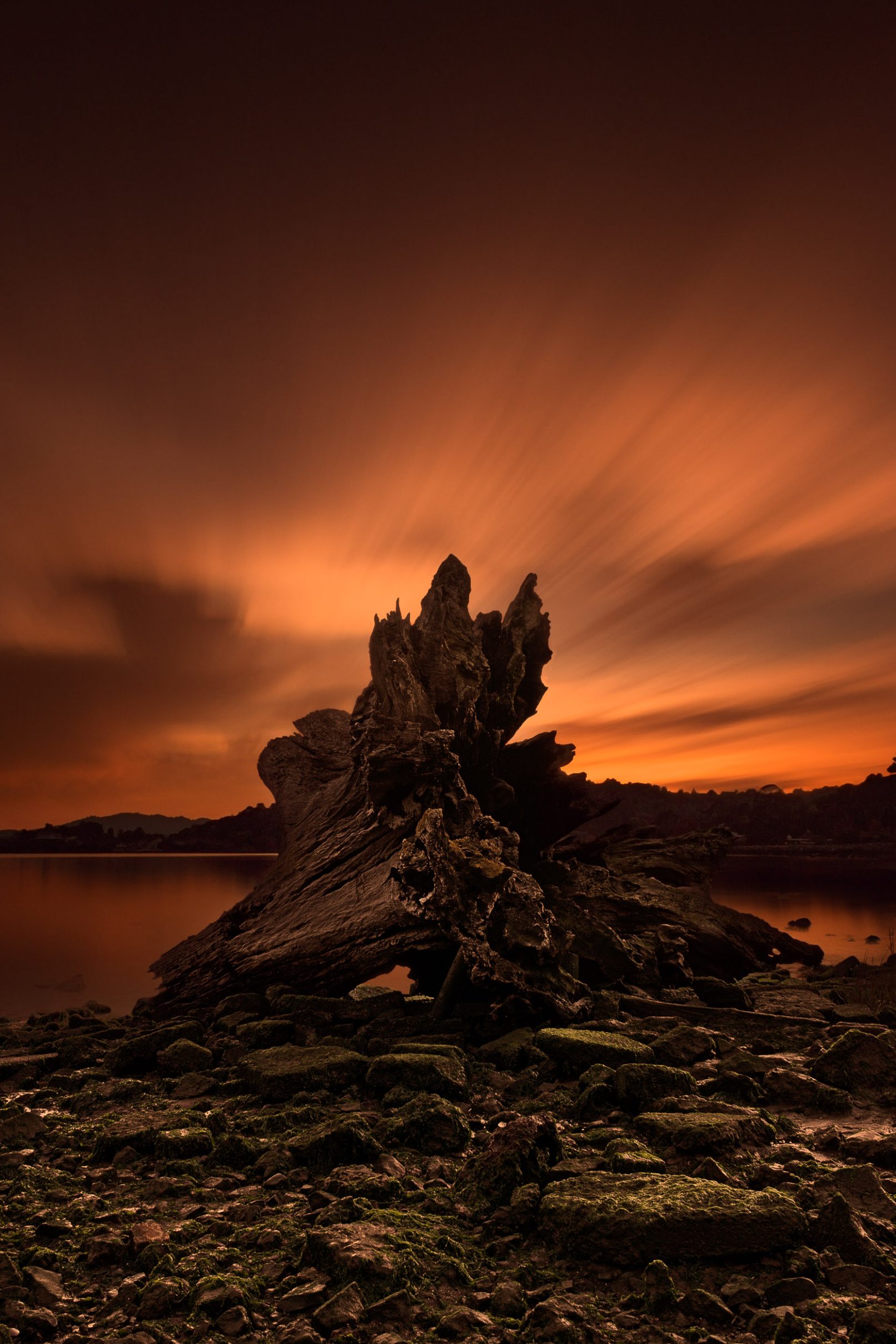 Dead tree stump with sunset