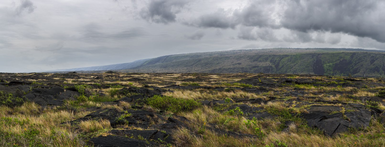 Hawaii, open field view from Chain of Craters Road