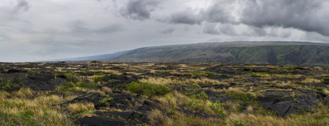 Hawaii, open field view from Chain of Craters Road