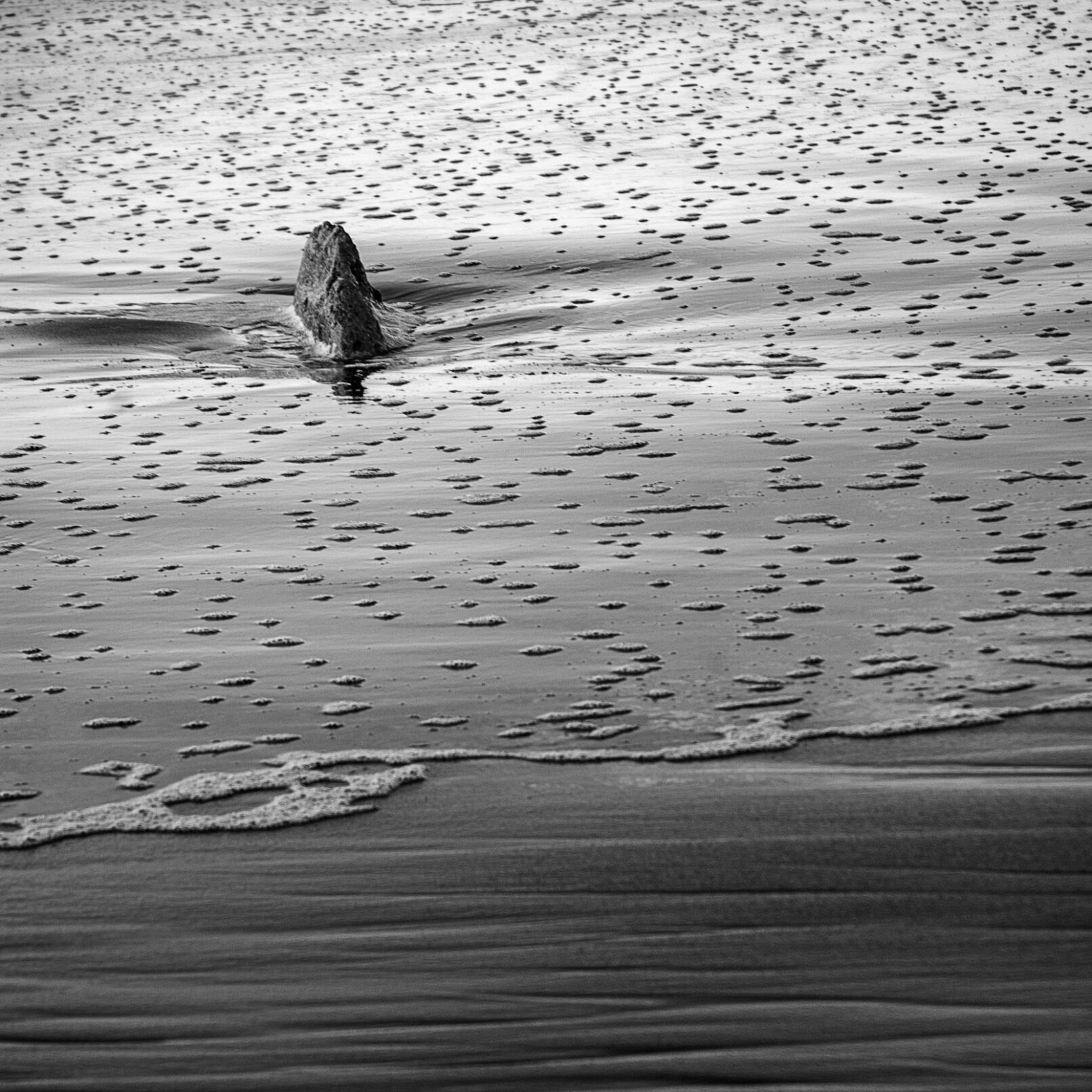 Rock on beach