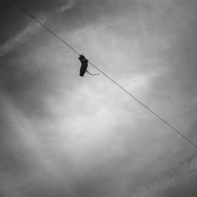 Kite string on wire