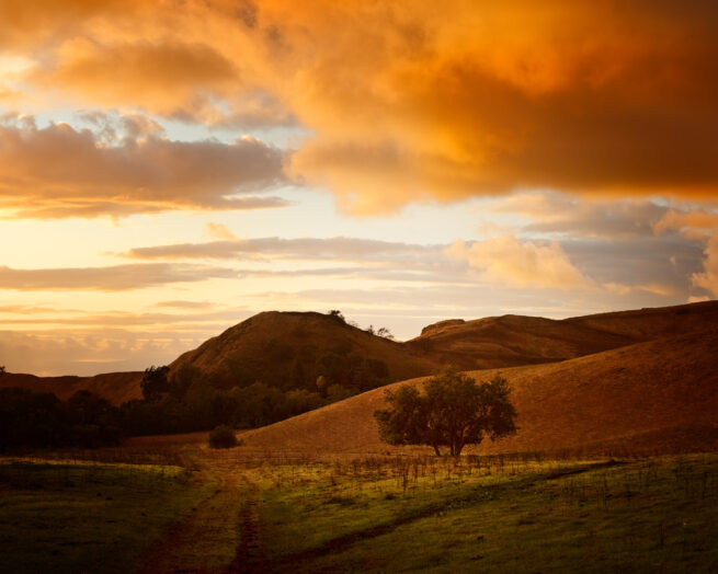 Park sunset with hills
